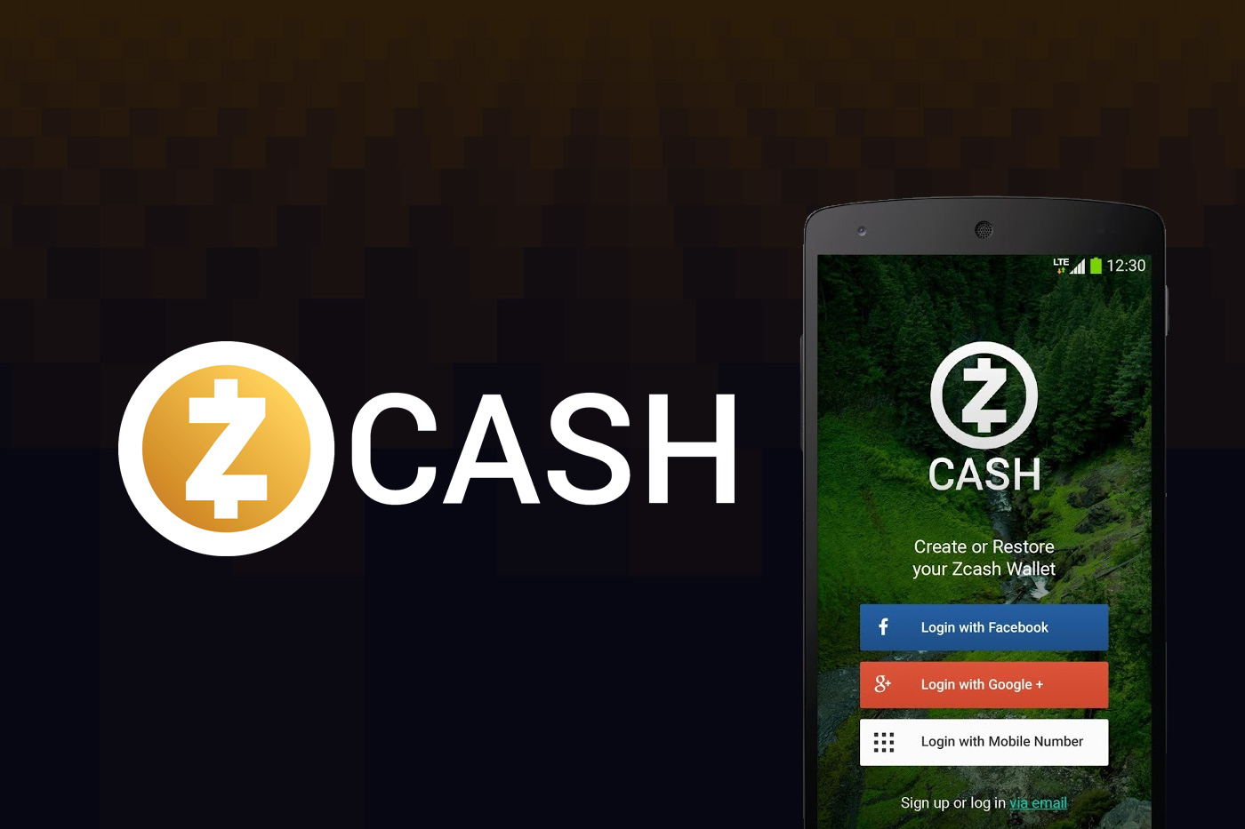 Zadné vrátka Zcash