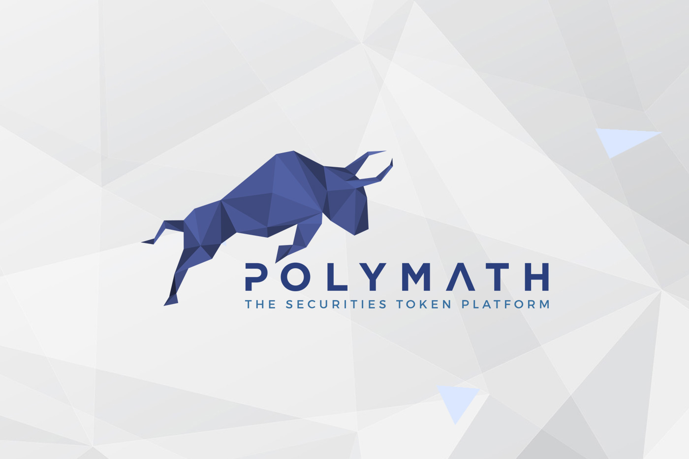 Polymath Guide